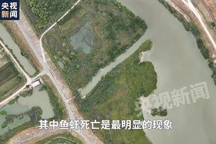 媒体人：麦麦提江执法水平获蓉城认可 海港状态不佳或因“菜地”
